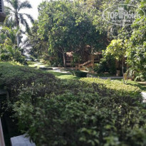 фото из отзыва ID 1693612