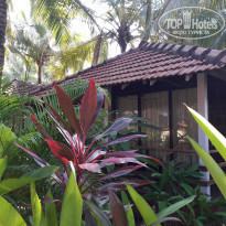 фото из отзыва ID 1693686