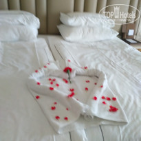 фото из отзыва ID 1693726