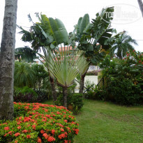 фото из отзыва ID 1693756