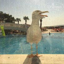 фото из отзыва ID 1693803