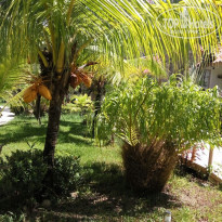 фото из отзыва ID 1693849