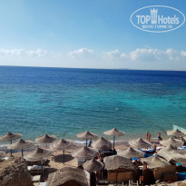 фото из отзыва ID 1693861