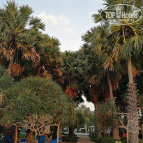 фото из отзыва ID 1693865