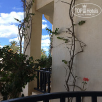 фото из отзыва ID 1693932