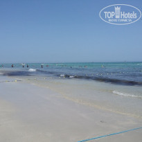 фото из отзыва ID 1694008