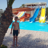 фото из отзыва ID 1694008