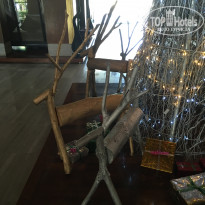 фото из отзыва ID 1694055