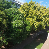 фото из отзыва ID 1694070