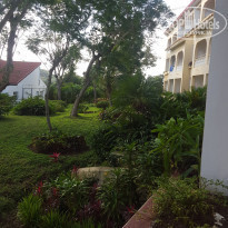 фото из отзыва ID 1694206