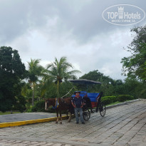 фото из отзыва ID 1694206