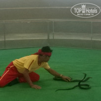 фото из отзыва ID 1694290