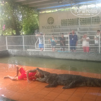 фото из отзыва ID 1694290