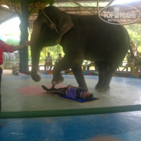 фото из отзыва ID 1694290