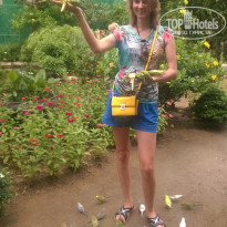 фото из отзыва ID 1694290