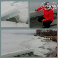 фото из отзыва ID 1694374