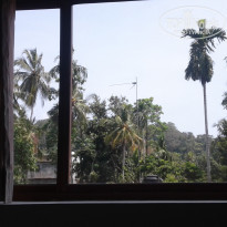 фото из отзыва ID 1694375