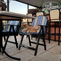 фото из отзыва ID 1694384