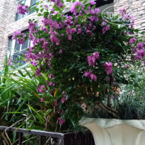 фото из отзыва ID 1694403