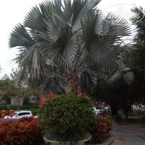 фото из отзыва ID 1694403