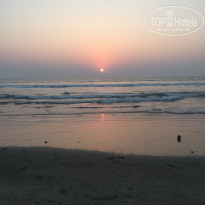 фото из отзыва ID 1694408