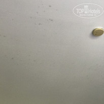 фото из отзыва ID 1694432