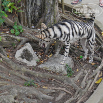 фото из отзыва ID 1694442