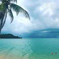 фото из отзыва ID 1694538