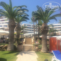 фото из отзыва ID 1694440