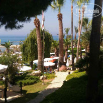 фото из отзыва ID 1694440