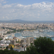 фото из отзыва ID 1694633