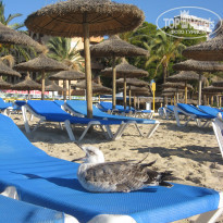 фото из отзыва ID 1694633