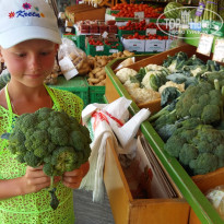 фото из отзыва ID 1694814