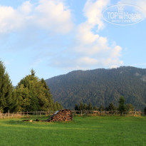 фото из отзыва ID 1694056