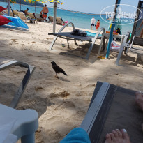 фото из отзыва ID 1693866