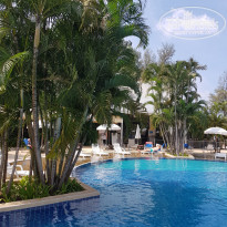 фото из отзыва ID 1693866