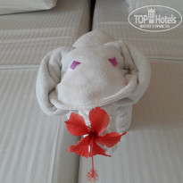 фото из отзыва ID 1694944