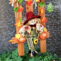 фото из отзыва ID 1694056