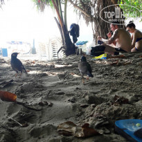 фото из отзыва ID 1695066