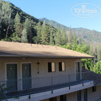 фото из отзыва ID 1695071