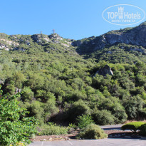 фото из отзыва ID 1695071