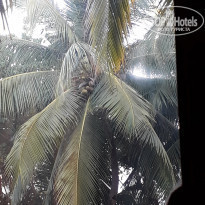 фото из отзыва ID 1695107