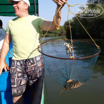 фото из отзыва ID 1695107