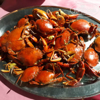 фото из отзыва ID 1695107