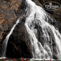 фото из отзыва ID 1695107