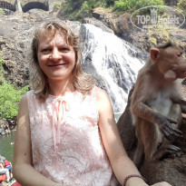 фото из отзыва ID 1695107