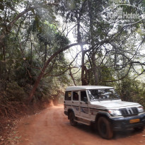 фото из отзыва ID 1695107