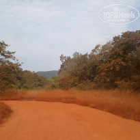 фото из отзыва ID 1695107