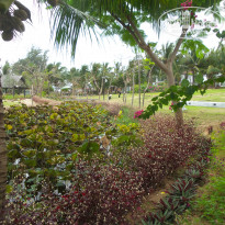 фото из отзыва ID 1695176