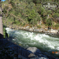 фото из отзыва ID 1695071